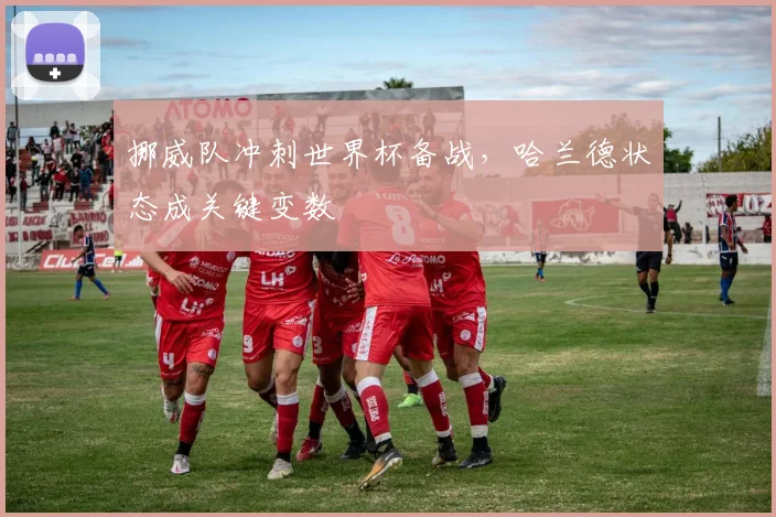 挪威队冲刺世界杯备战,哈兰德状态成关键变数