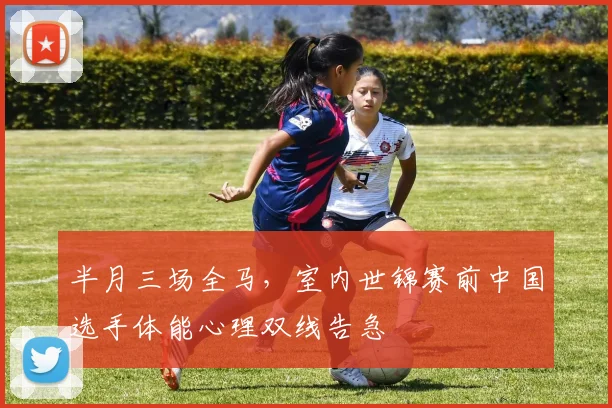 半月三场全马,室内世锦赛前中国选手体能心理双线告急